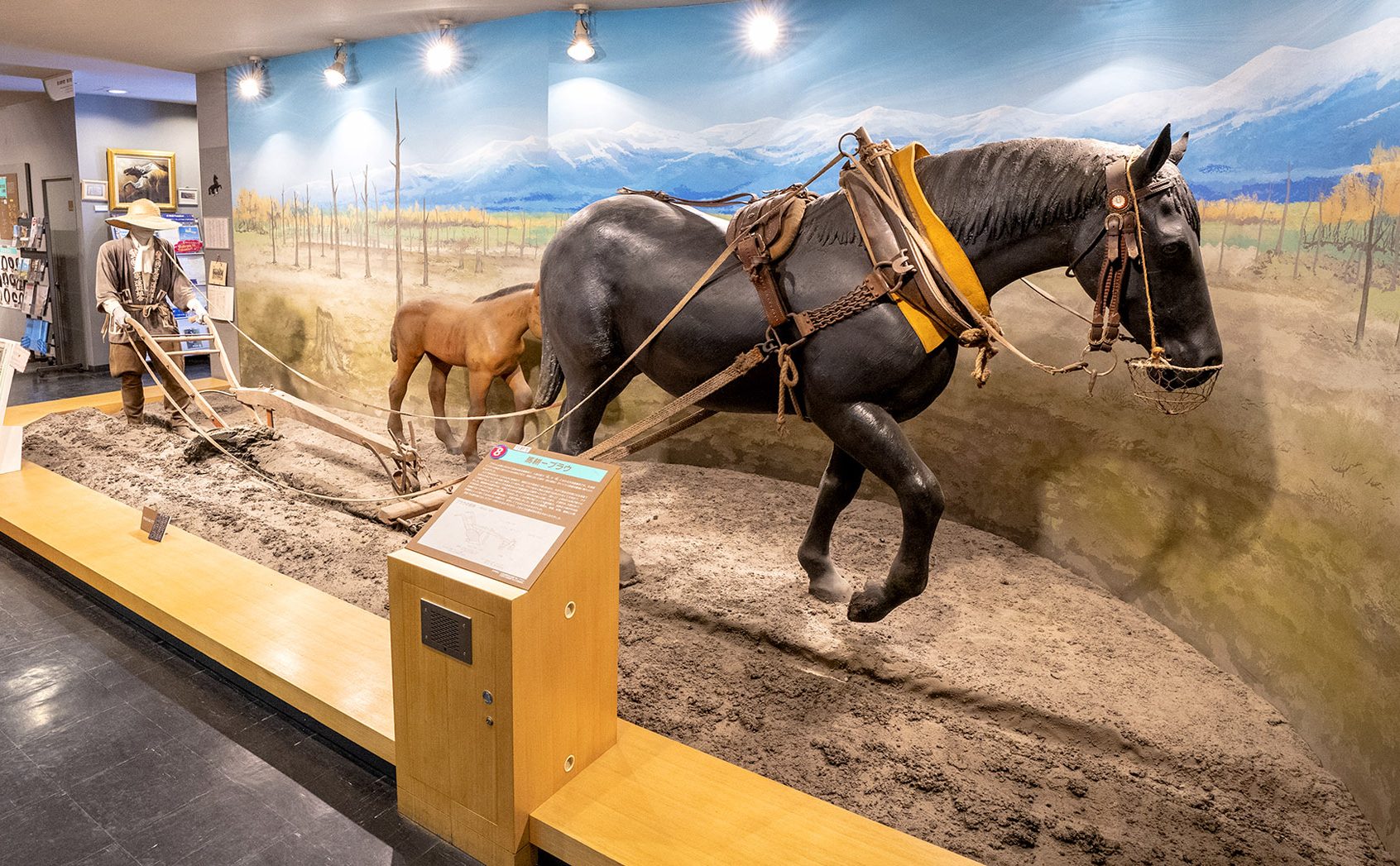 「馬の資料館」の迫力の展示が十勝の馬の歴史を教えてくれる